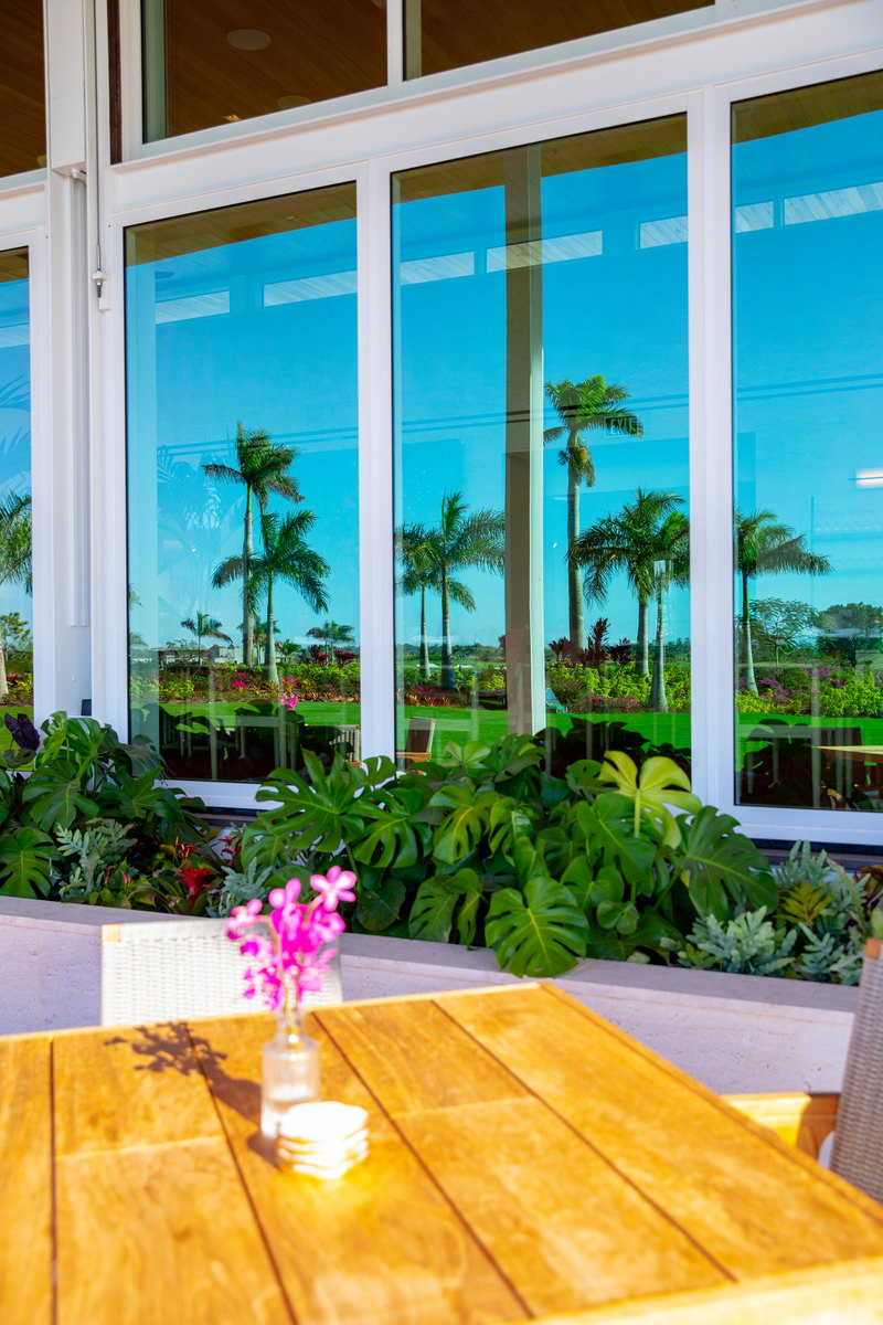 Atlantic Fields Golf House - window wall glass reflecting the palm line at the terrace edge